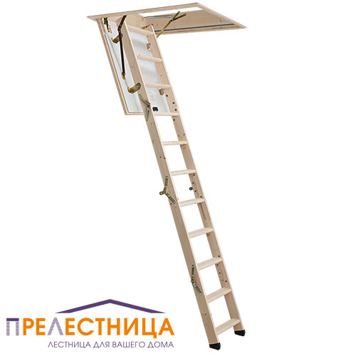 мини фото 1,  PROF 36 MINI, 92,5x60