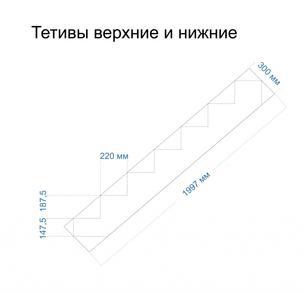 Тетивы